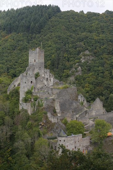 Niederburg castle