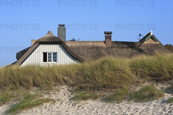 Thatched cottage behind the dunes