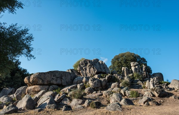 Archaeological site of the Neolithic period