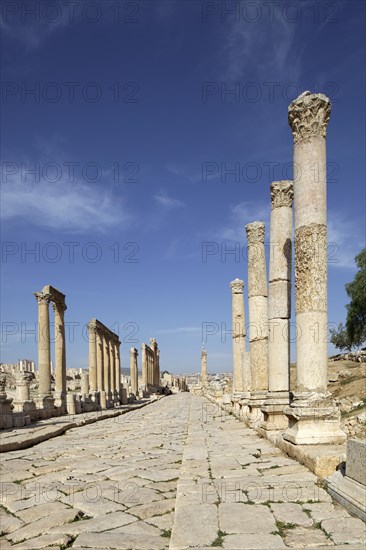 Main street Cardo Maximus