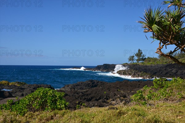 Volcanic coastline