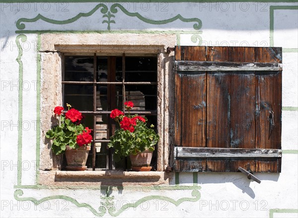 Window with geraniums