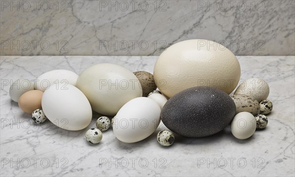 Various eggs on marble