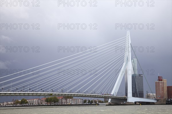 Erasmus Bridge