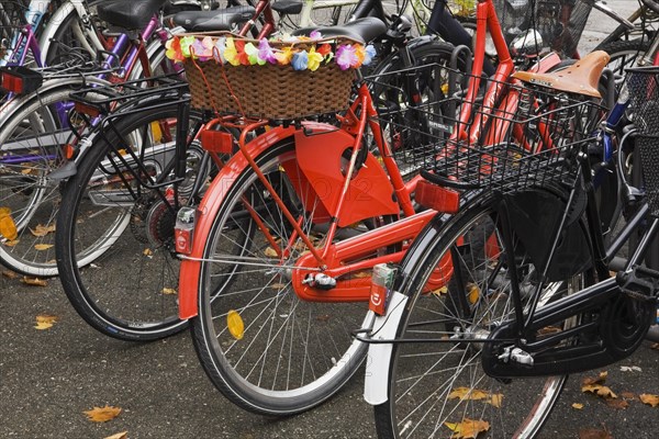 Row of parked bicycles