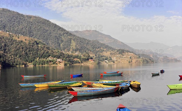 Rowing boats on Phewa Lake