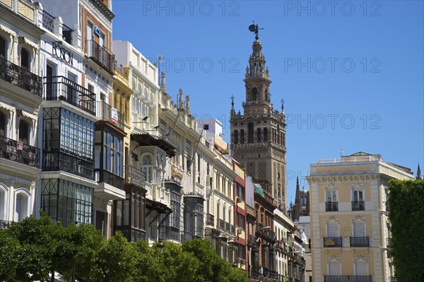 La Giralda bell tower