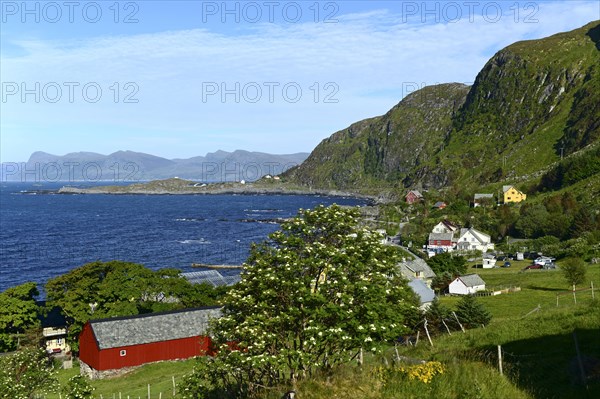 Coastline
