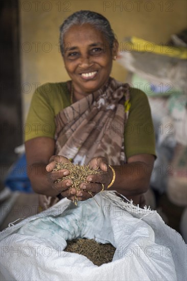 Woman holding Pokkali rice in her hands
