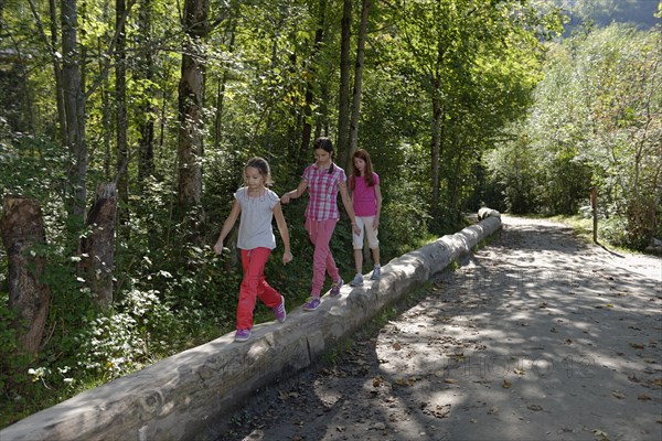 Children balancing on a beam at the Auwaldlehrpfad trail