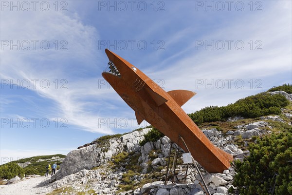Dachstein shark at the Heilbronn circular walk