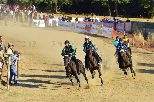 Wild horse race without saddle at the Su Palu de Sa Itria Gavoi festival