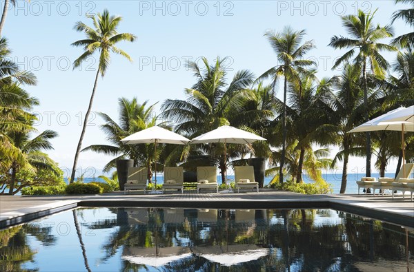 Sun loungers and parasols by a pool under palm trees