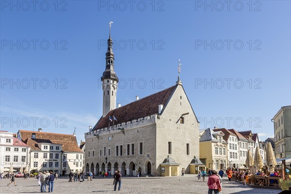 Gothic Town Hall on the Town Square in the old town