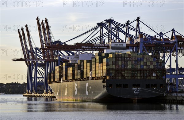 Container terminal Burchardkai in Walter Hofer the Port of Hamburg
