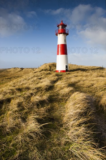 The red and white lighthouse of List Ost on the Ellenbogen peninsula