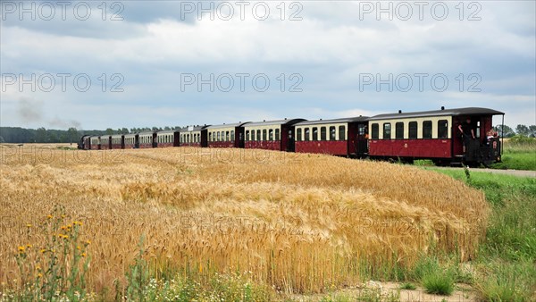 Steam-powered narrow gauge railway Molli