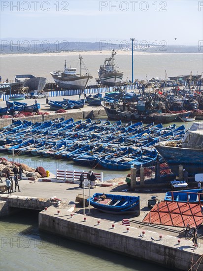 Fishing boats in the port of Essaouira