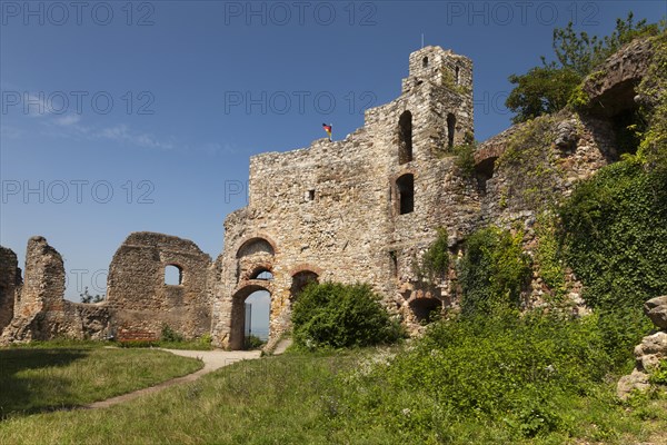 Staufen castle ruins