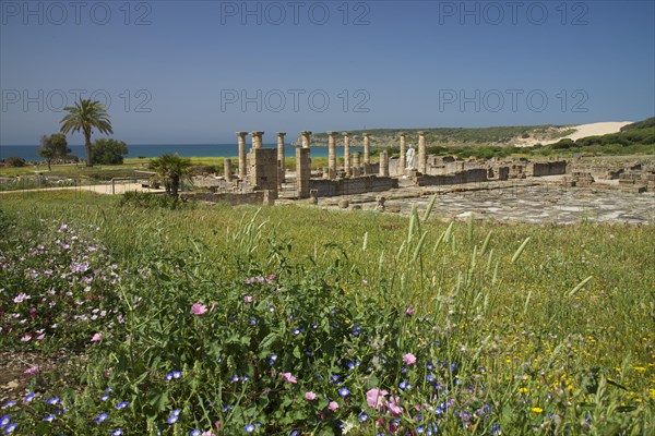 Roman ruins of Baelo Claudia near Bolonia