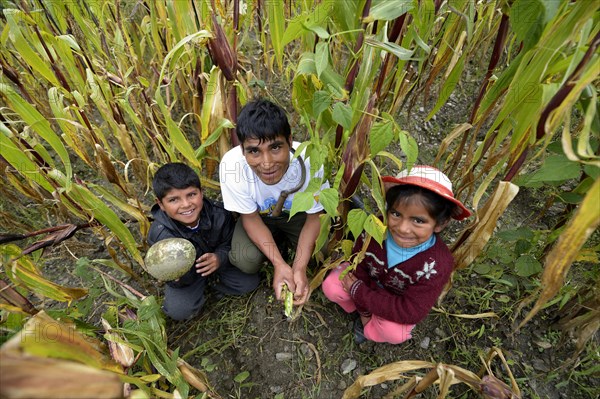Farmer with his children in a cornfield