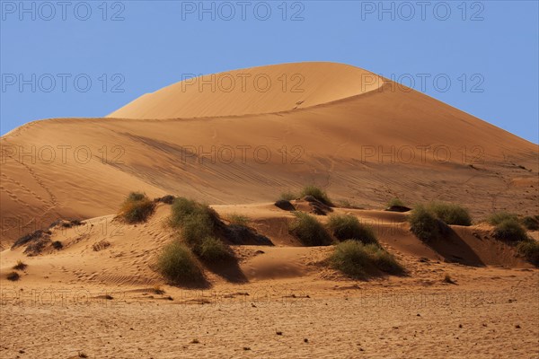 Sand dune