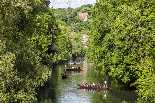 Punts on the Neckar River near Tubingen