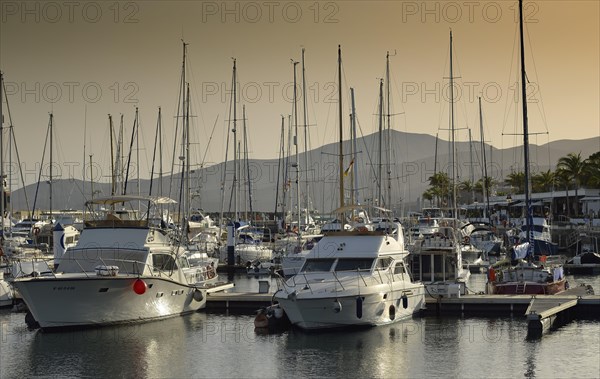 Yachts in the evening light