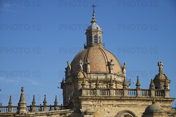 Cathedral La Colegiata del Salvador