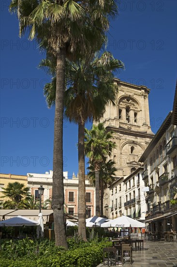 Plaza Romanilla with the tower of the Granada Cathedral