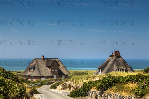 Thatched Frisian houses in the dunes
