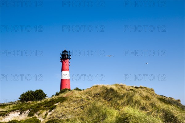 Dunes and lighthouse Hornum