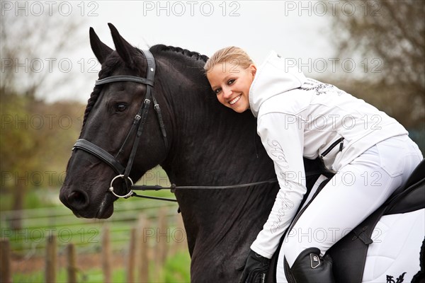 Friesian or Frisian horse