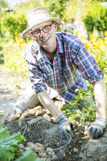 Gardener