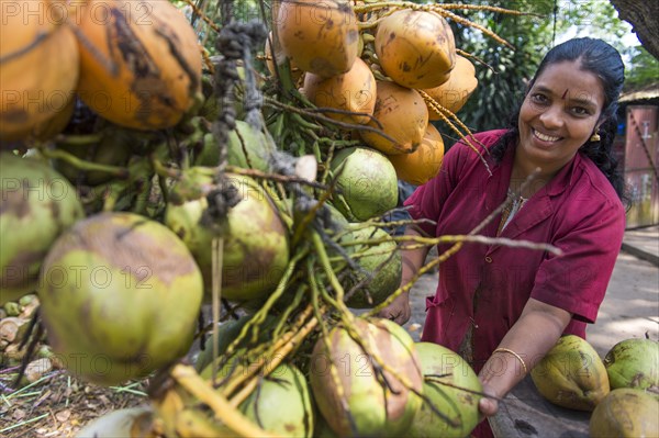 Young woman selling coconuts at the road