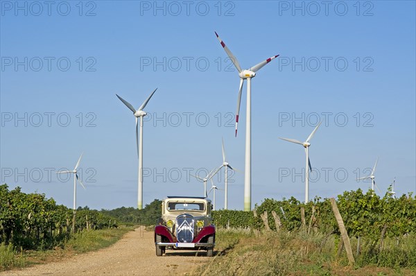 Citroen Rosalie 7UA