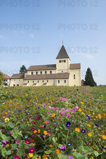 Church of St George