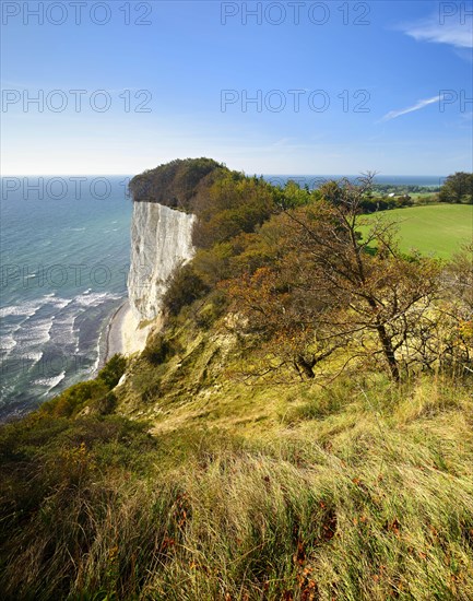 Landscape with the chalk cliffs of Mons Klint