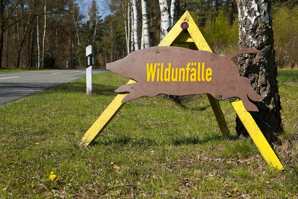 Sign with the German word ""Wildunfalle""