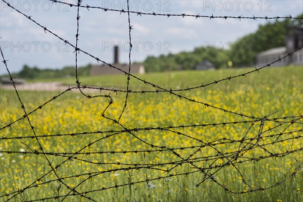 Old barbed wire