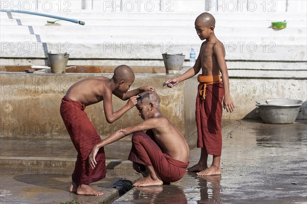 Novice monks during a head shave in the Shwe Yaunghwe Kyaung Monastery