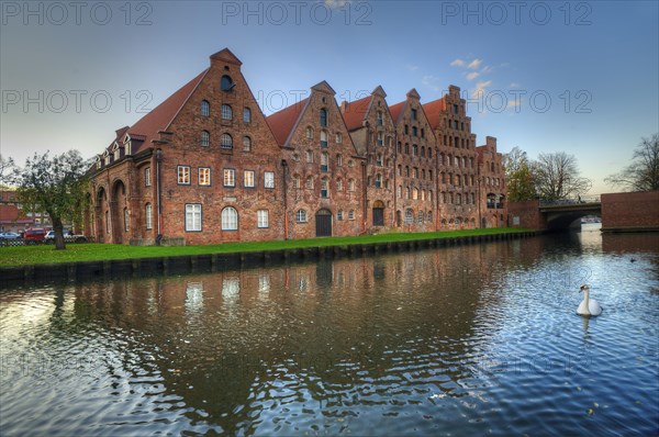 Ensemble of brick gabled houses