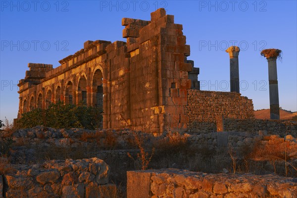 Roman ruins of Volubilis