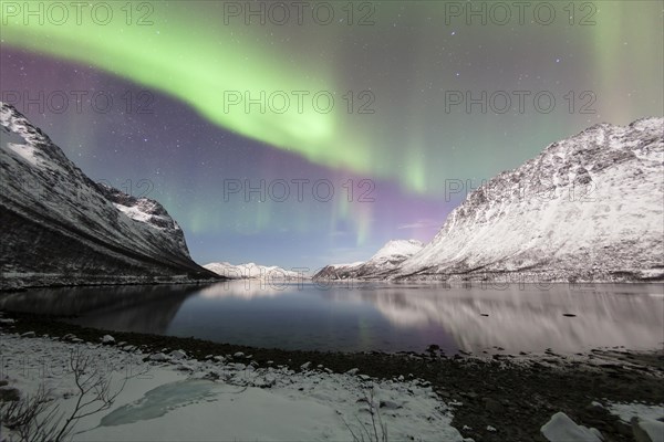 Aurora over the Grotfjord