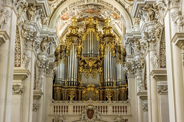 Organ