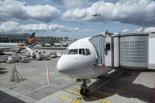 Condor Boeing 767-300 with passenger bridge