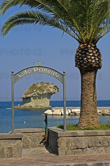 View of Rock Fungo
