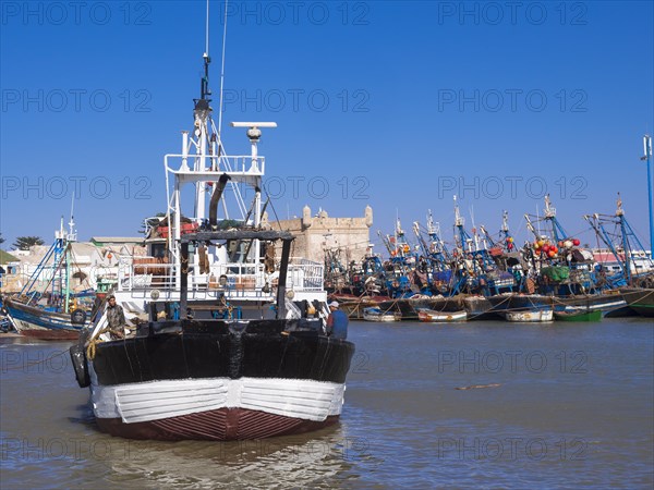 Fishing boats in the port of Essaouira