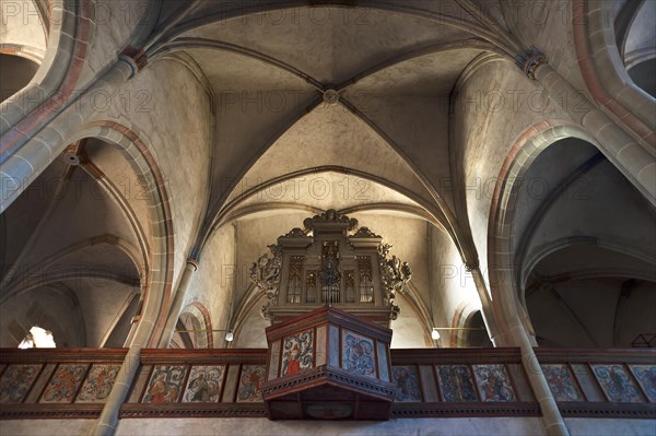 Vaults and organ loft of St. Mary's Church