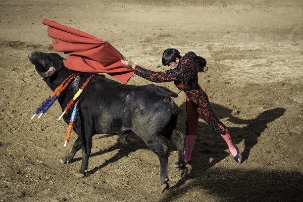 Bullfighter performing a ""Veronica""